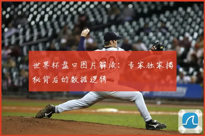 世界杯盘口图片解读:专家独家揭秘背后的数据逻辑