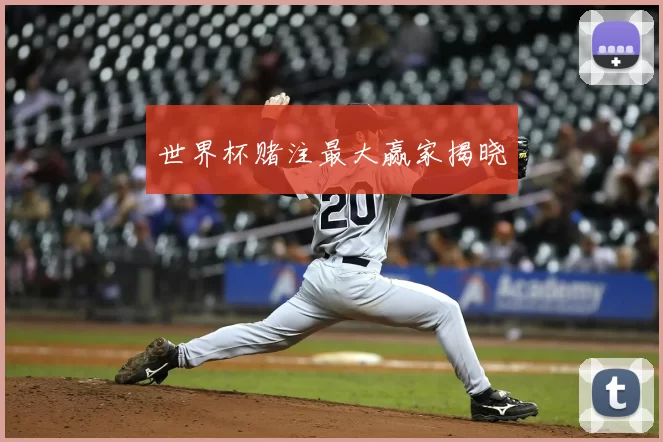 世界杯赌注最大赢家揭晓