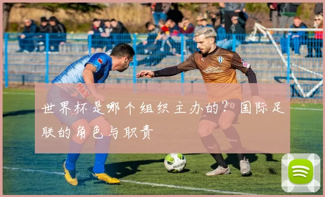 世界杯是哪个组织主办的?国际足联的角色与职责