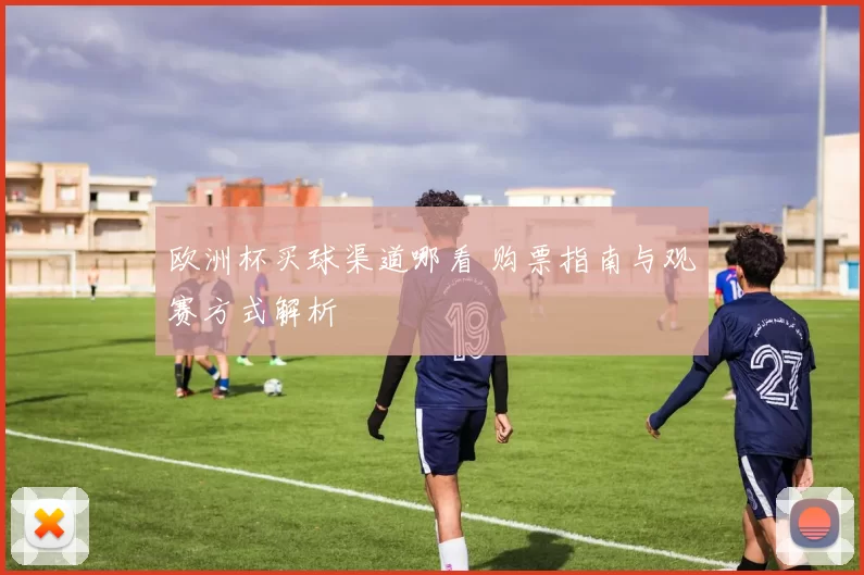 欧洲杯买球渠道哪看 购票指南与观赛方式解析