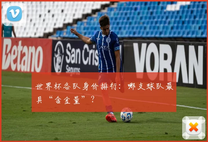 世界杯各队身价排行：哪支球队最具“含金量”？