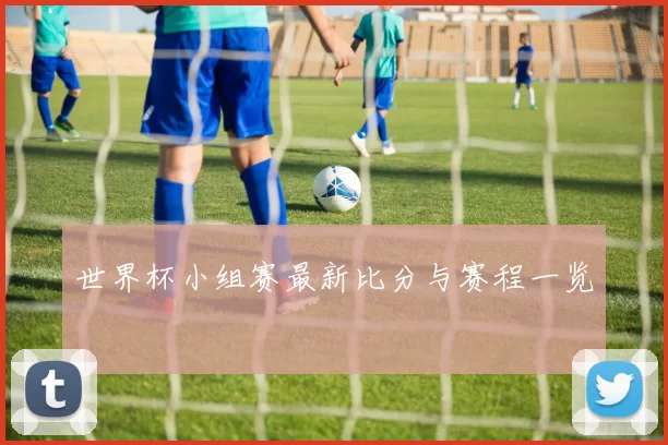 世界杯小组赛最新比分与赛程一览