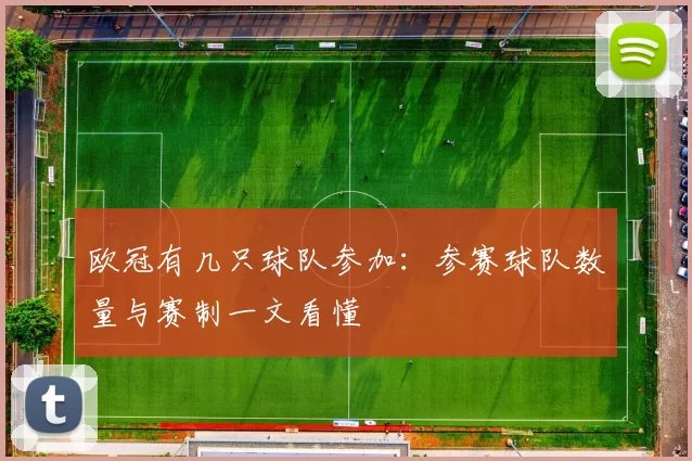 欧冠有几只球队参加：参赛球队数量与赛制一文看懂
