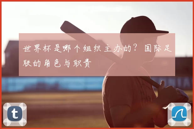 世界杯是哪个组织主办的？国际足联的角色与职责