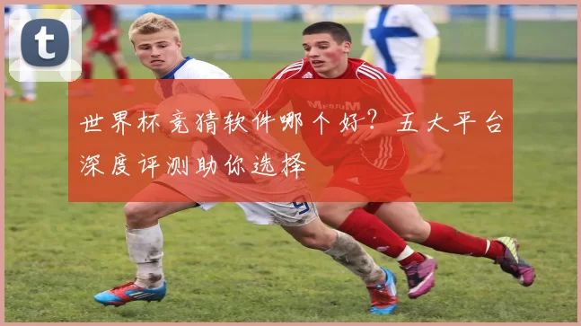 世界杯竞猜软件哪个好？五大平台深度评测助你选择
