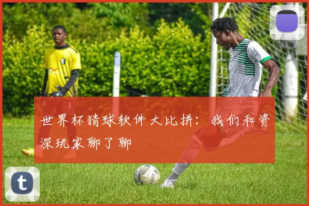 世界杯猜球软件大比拼:我们和资深玩家聊了聊