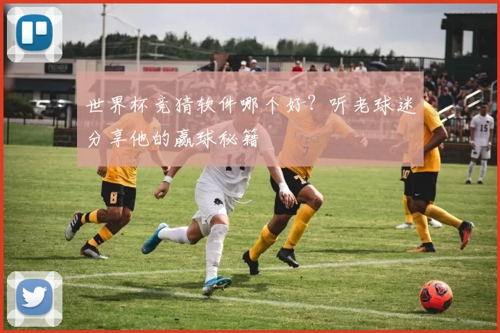 世界杯竞猜软件哪个好？听老球迷分享他的赢球秘籍