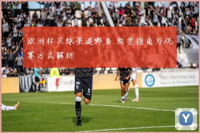 欧洲杯买球渠道哪看 购票指南与观赛方式解析