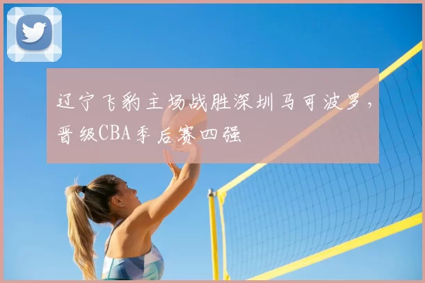 辽宁飞豹主场战胜深圳马可波罗,晋级CBA季后赛四强