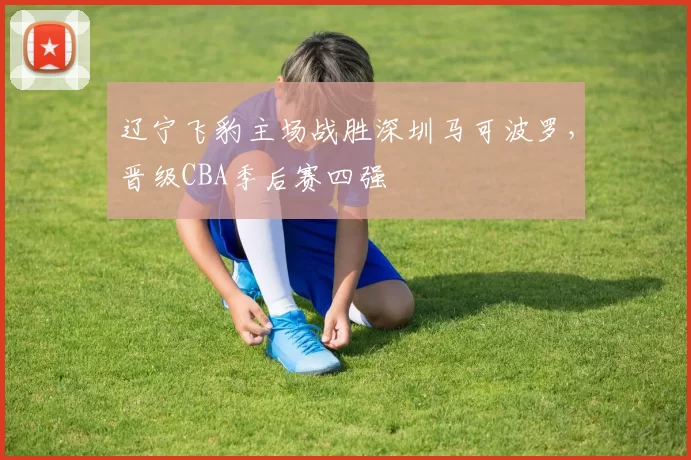 辽宁飞豹主场战胜深圳马可波罗，晋级CBA季后赛四强