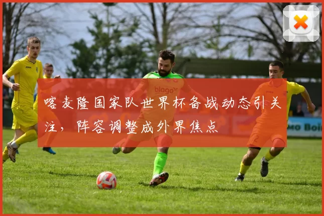 喀麦隆国家队世界杯备战动态引关注，阵容调整成外界焦点