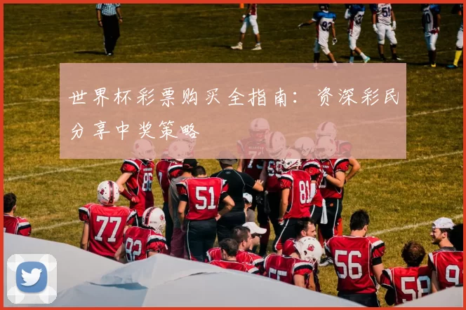 世界杯彩票购买全指南：资深彩民分享中奖策略