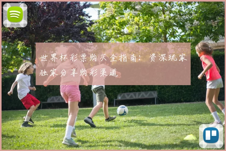 世界杯彩票购买全指南：资深玩家独家分享购彩渠道