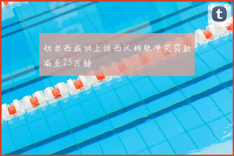 切尔西成功上诉西汉姆联冲突罚款减至25万镑