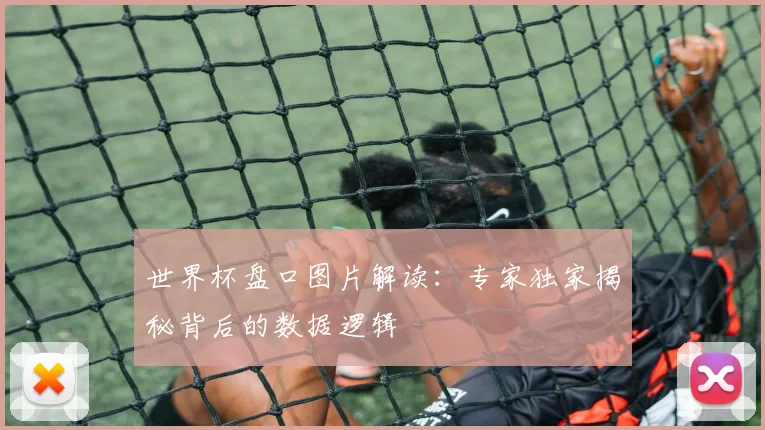 世界杯盘口图片解读：专家独家揭秘背后的数据逻辑