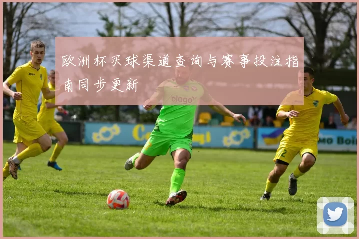 欧洲杯买球渠道查询与赛事投注指南同步更新