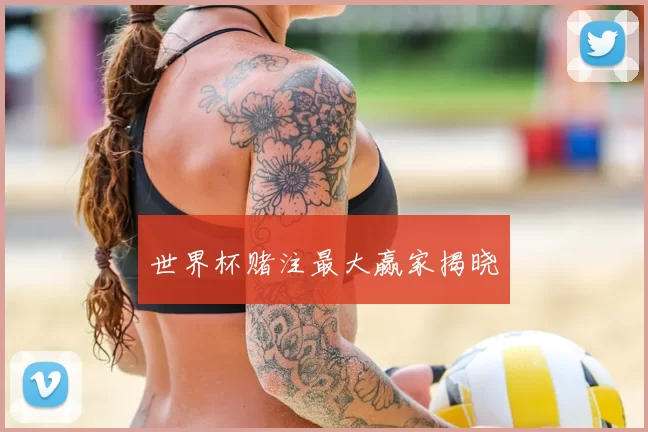 世界杯赌注最大赢家揭晓